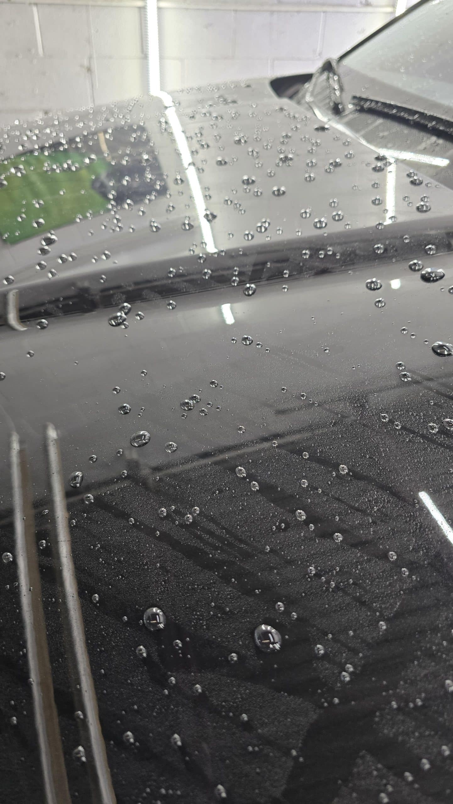 Water beading on a professionally coated vehicle surface